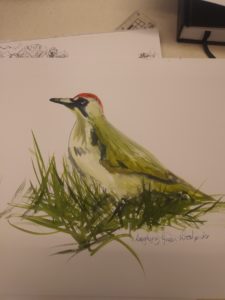 The Laughing Green Woodpecker by Francine Davies Art