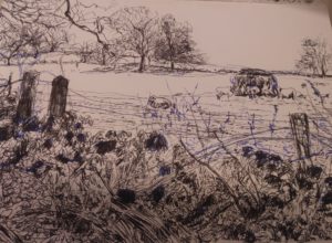 Sketches of The Walk from Abercraf to Henryhd Waterfalls by Francine Davies Art