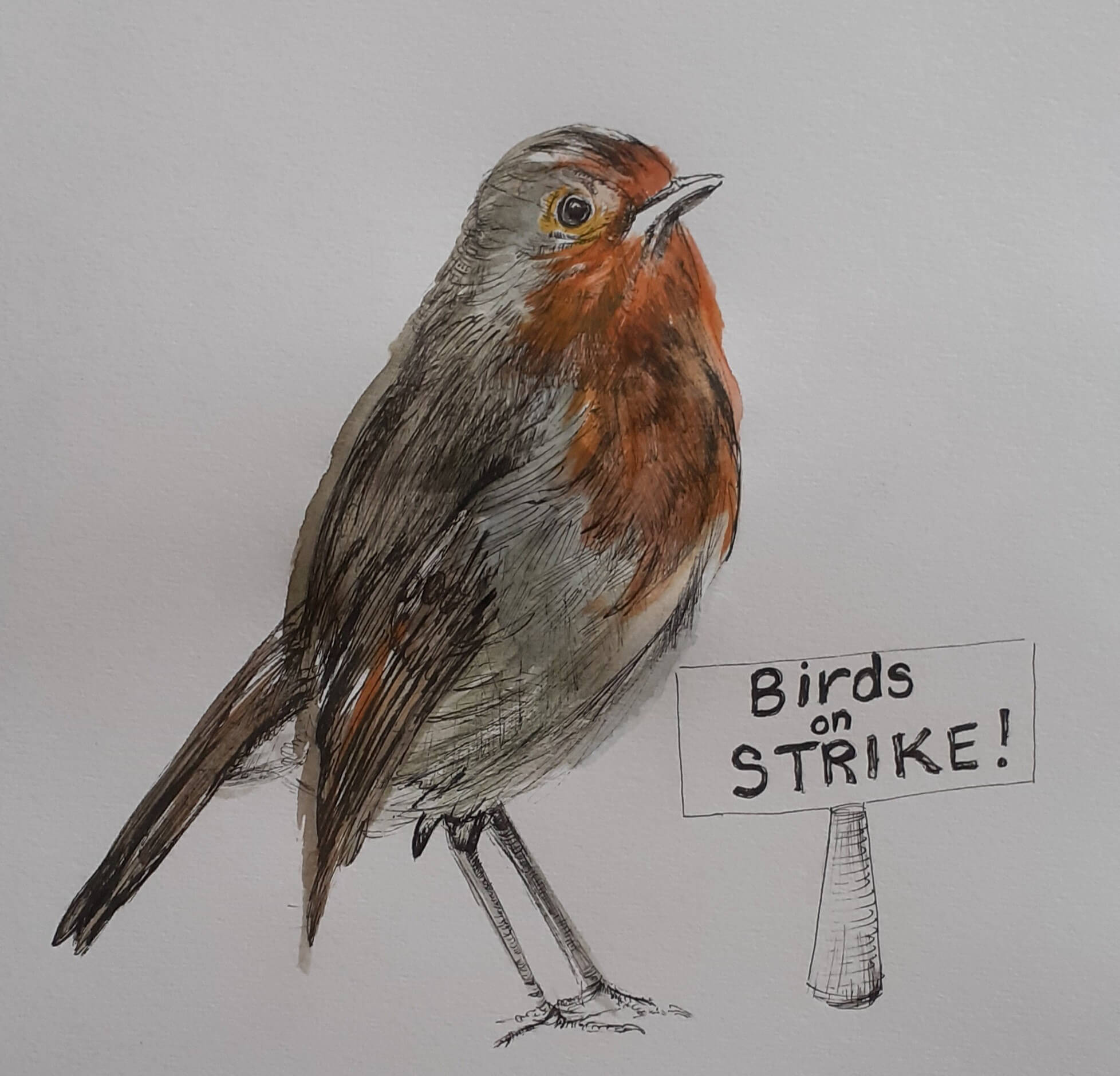 Birds on Strike! Blog post by Francine Davies Art